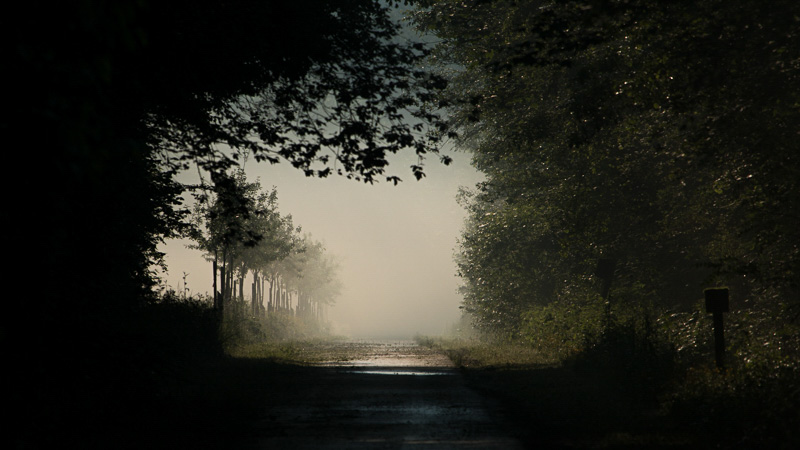 Image Résultat de recherche d'images pour "arboretum Momignies"